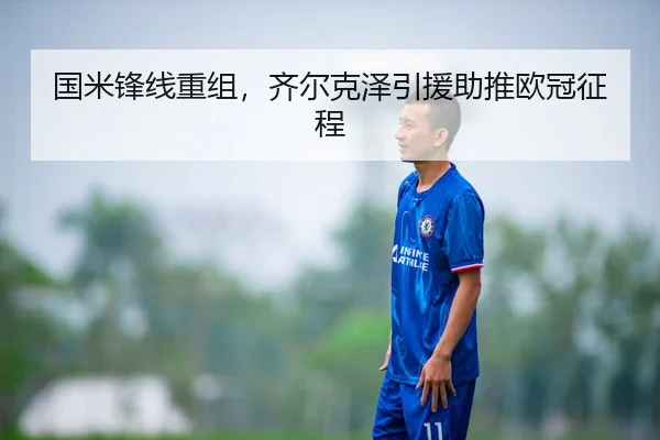 国米锋线重组，齐尔克泽引援助推欧冠征程