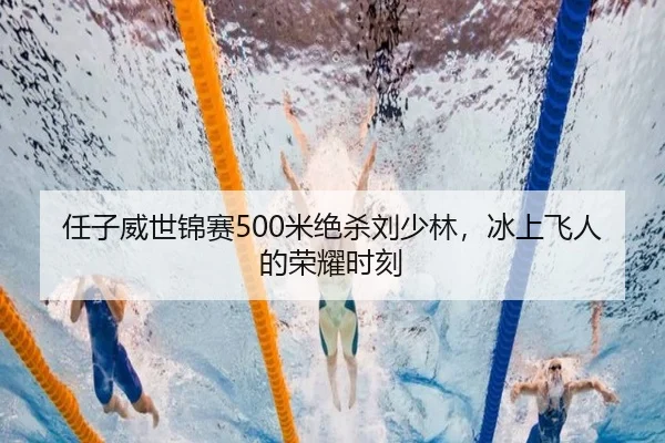 任子威世锦赛500米绝杀刘少林，冰上飞人的荣耀时刻