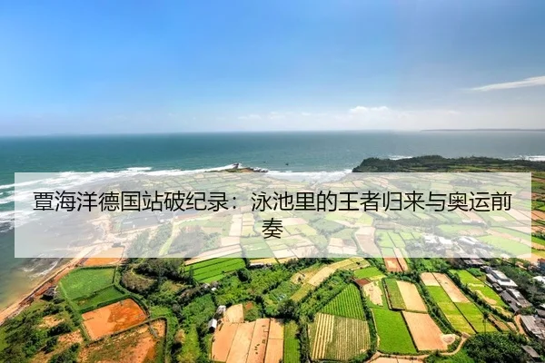 tan-hai-yang-de-guo-zhan-po-ji-lu-yong-chi-li-de-wang-zhe-gui-lai-yu-ao-yun-qian-zou-2-255.jpg