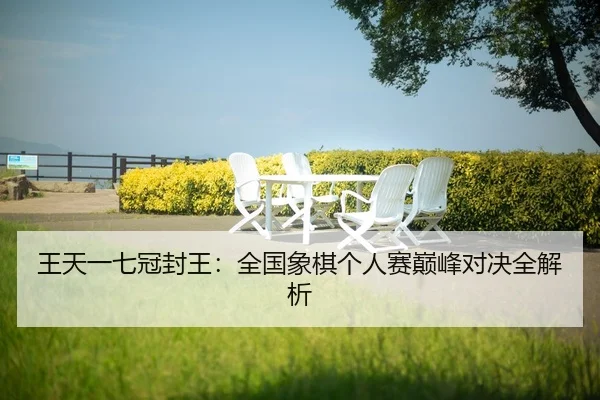 王天一七冠封王：全国象棋个人赛巅峰对决全解析