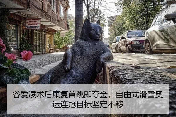 gu-ai-ling-shu-hou-kang-fu-shou-tiao-ji-duo-jin-zi-you-shi-hua-xue-ao-yun-lian-guan-mu-biao-jian-ding-bu-yi-2-179.jpg